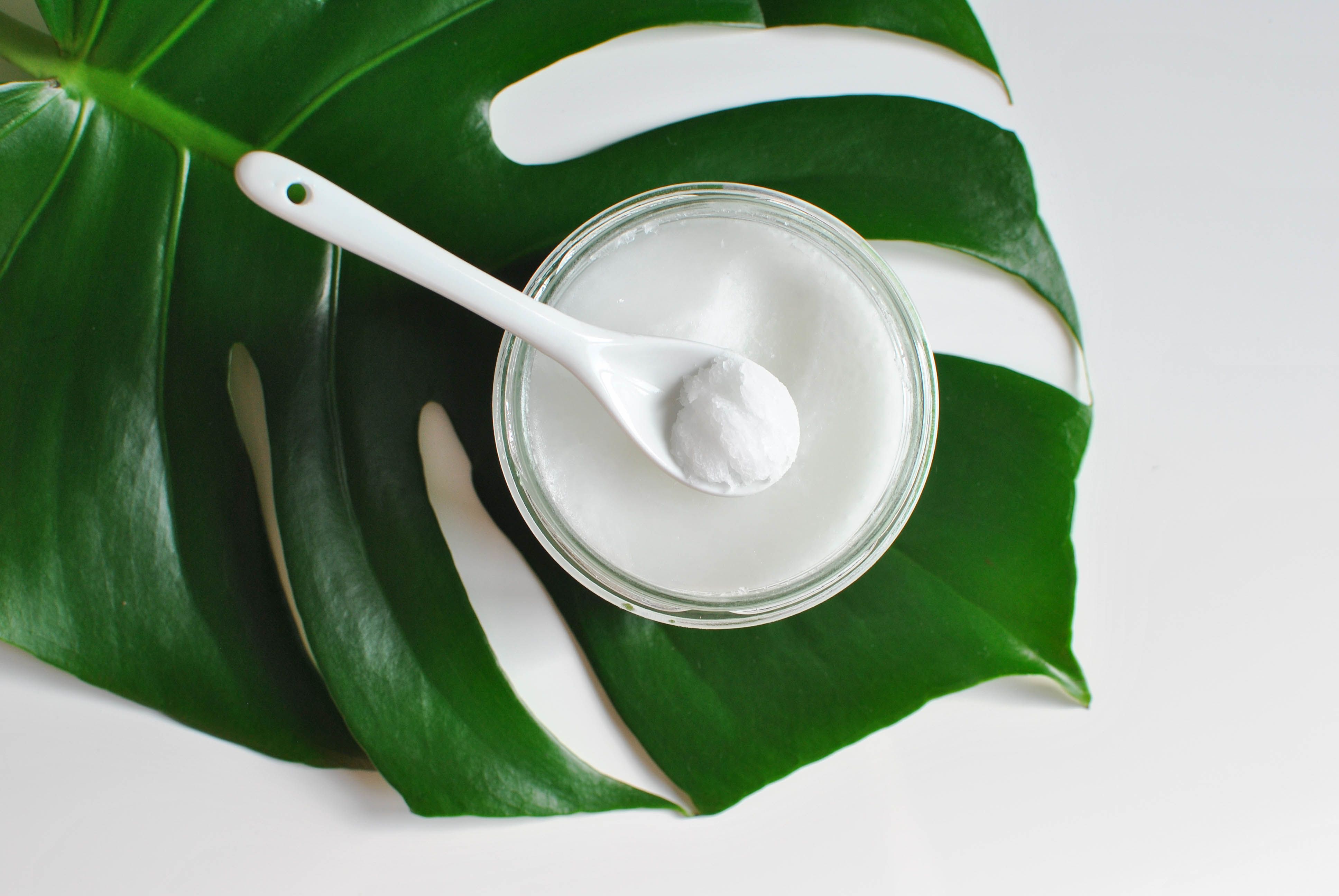 huile de coco mes 6 utilisations beauté le petit monde d'elodie beauty huile de coco mes 6 utilisations beauté le petit monde d'elodie beauty huile de coco mes 6 utilisations beauté le petit monde d'elodie beauty huile de coco mes 6 utilisations beauté le petit monde d'elodie beauty