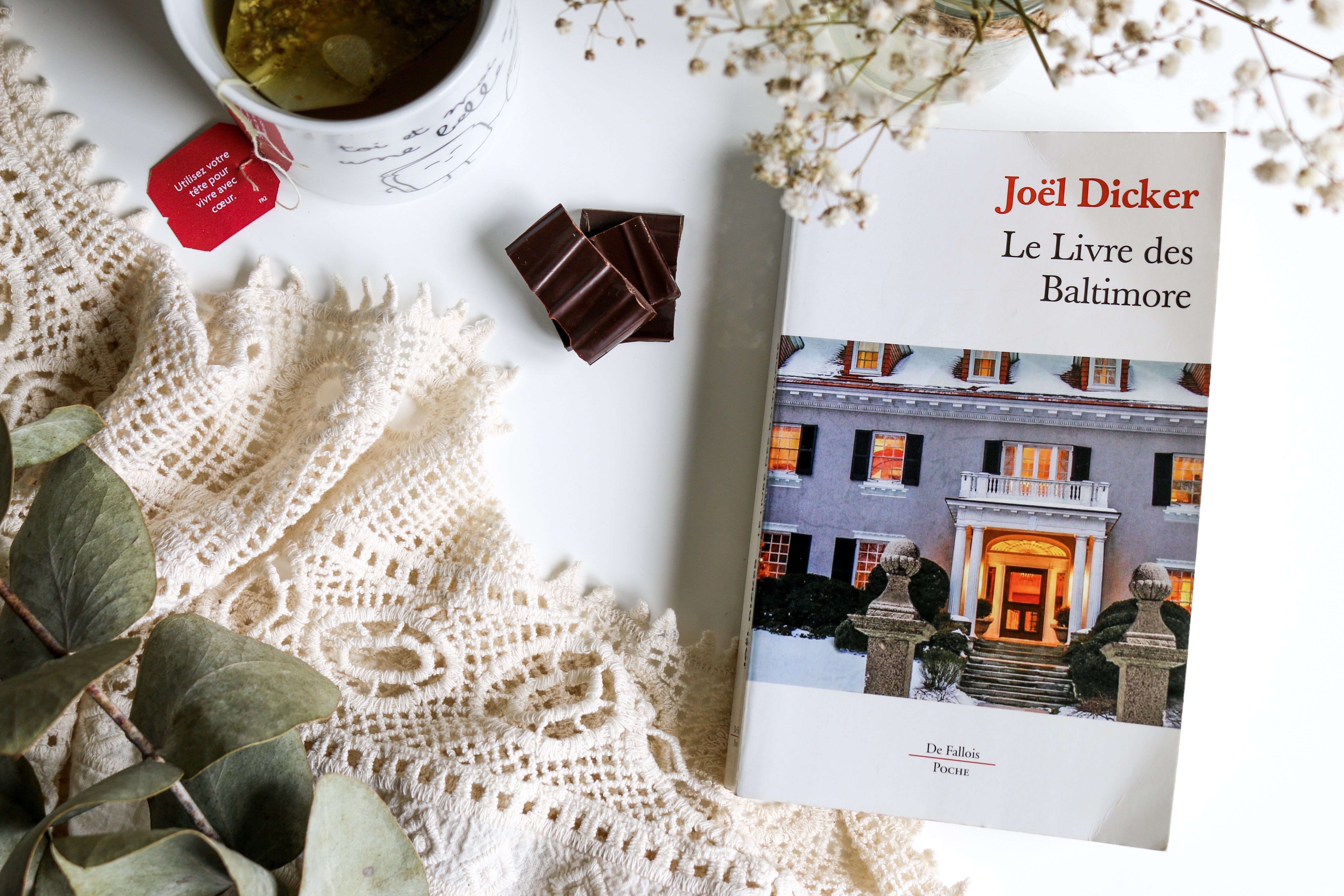 le livre des baltimore joel dicker lecture le petit monde d'elodie le livre des baltimore joel dicker lecture le petit monde d'elodie