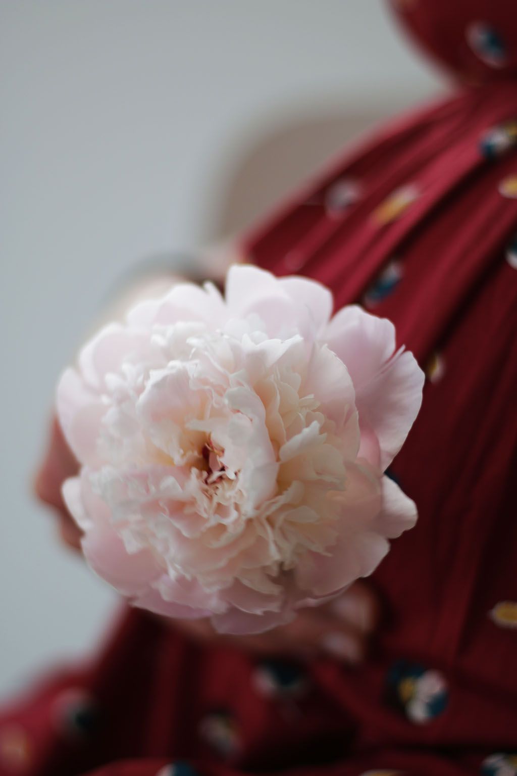 grossesse et fleurs par lepetitmondedelodie